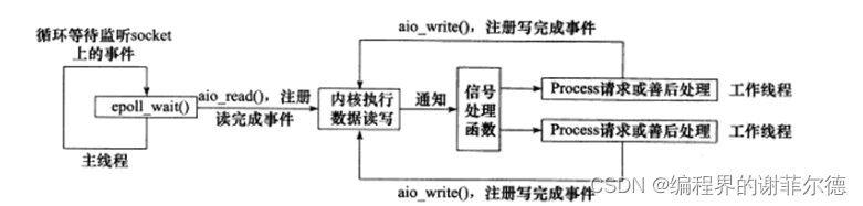 初识asio