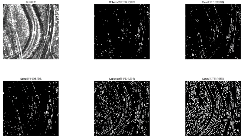 图11. road-SAR处理前后图像