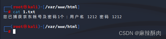 DNS欺骗与钓鱼网站