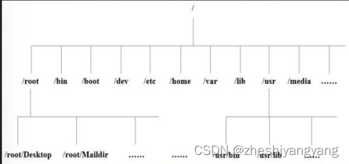 Linux第4章-目录结构