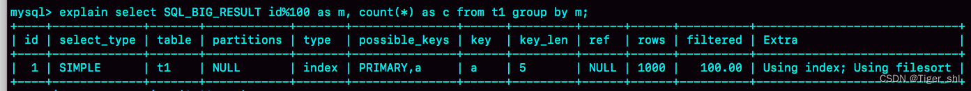 图 13 使用 SQL_BIG_RESULT 的 explain 结果