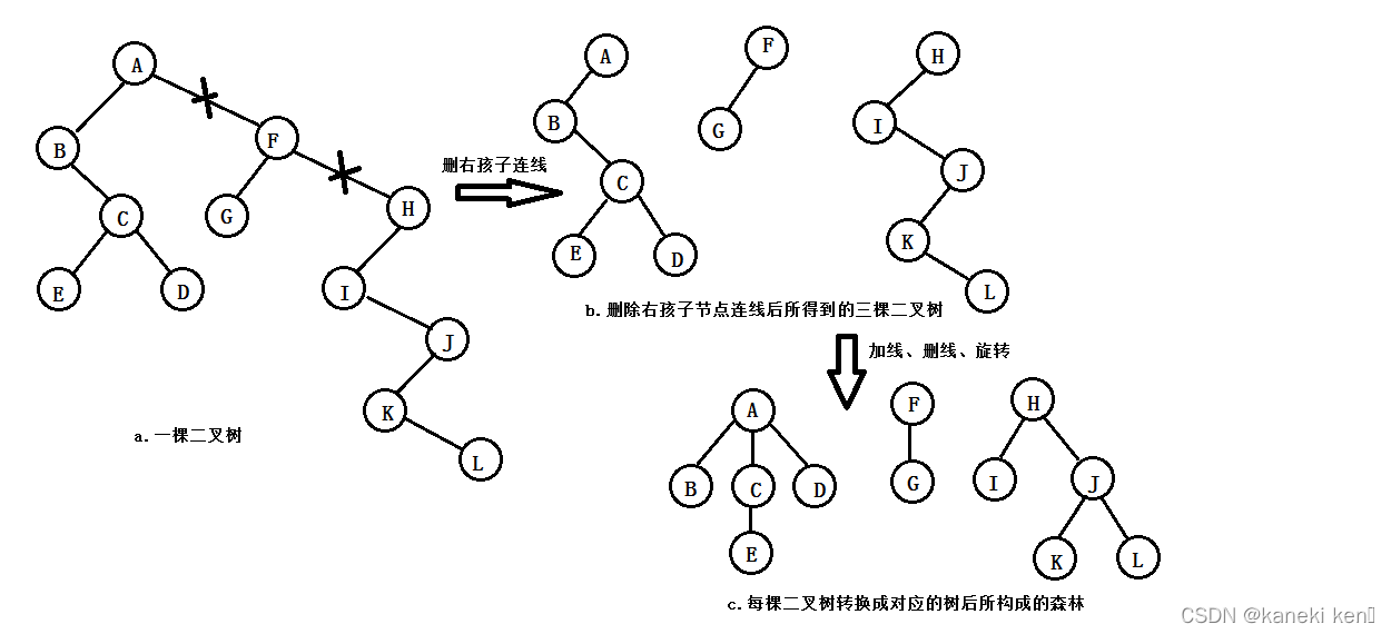 二叉树转化为森林的过程