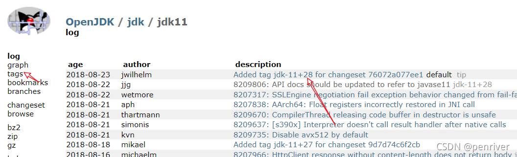 Java Openjdk 11 Centos 7.x安装openjdk 11及JAVA 11的特性_openjdk11 rpm-CSDN博客