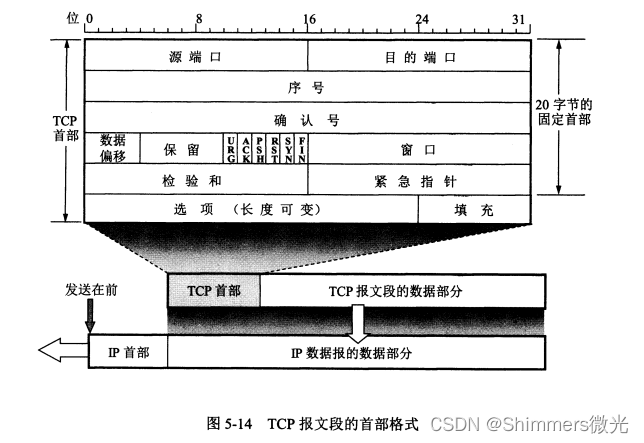 TCP 头部格式