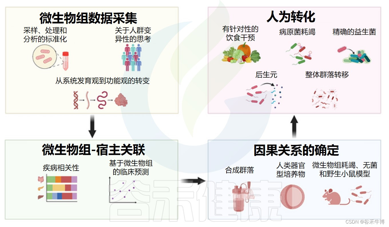 杂谈 | 人类微生物组研究：解析挑战与前景