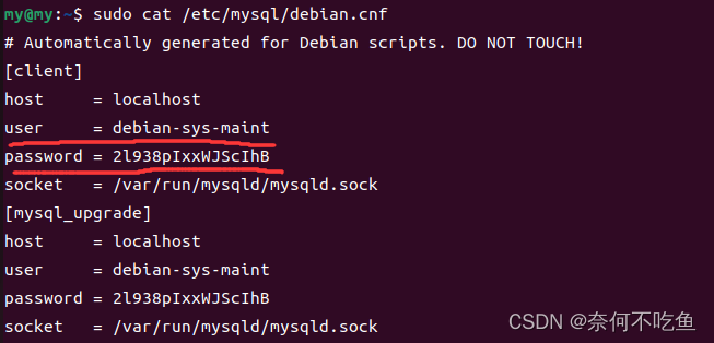 install mysql client debian