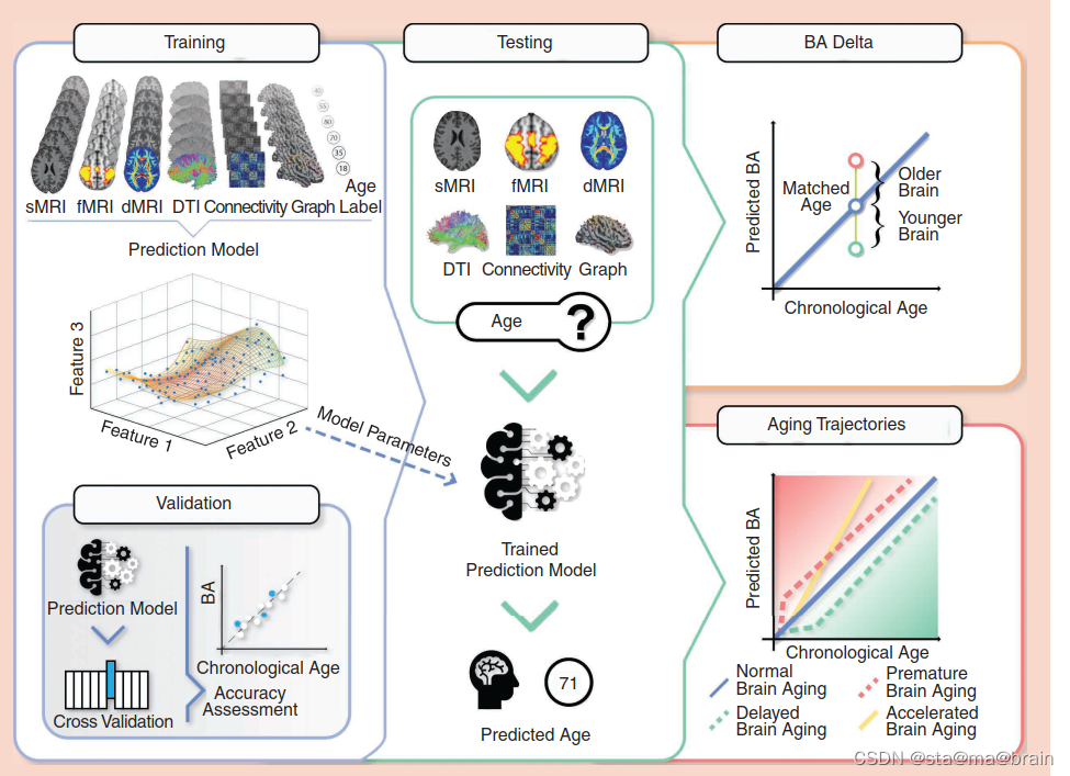 总结磁共振成像的脑龄预测的人工智能模型