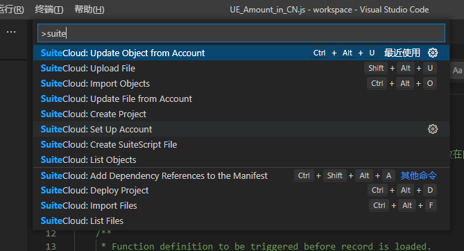 NetSuite ByeBye Eclipse，Hello VS Code_suitecloud extension for visual ...