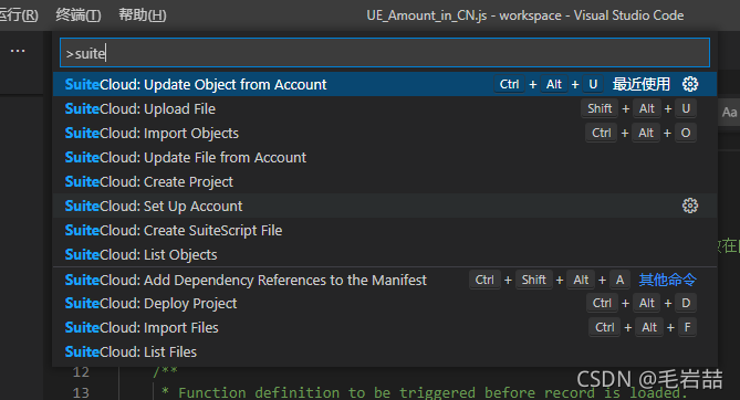 NetSuite ByeBye Eclipse,Hello VS Code_suitecloud extension for visual ...