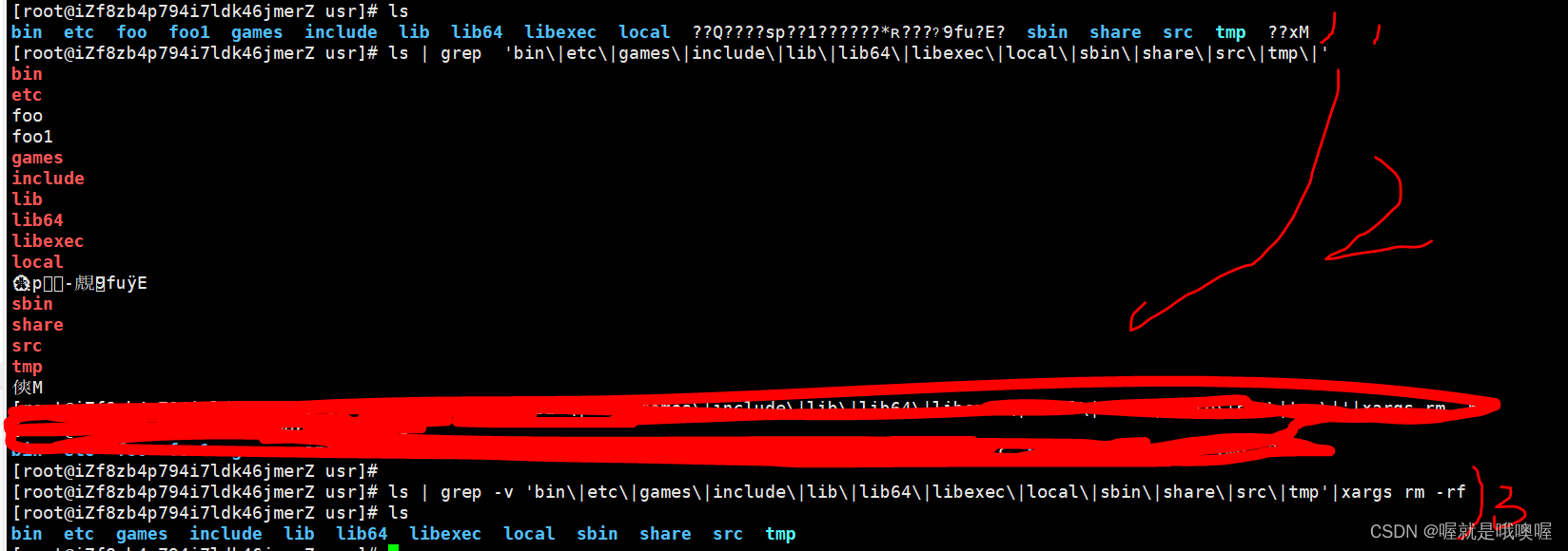 linux把乱码文件(非文件内容)删除（Xshell中使用rz命令上传文件出现乱码，删除乱码文件）的步骤讲解