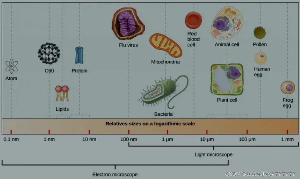 inserte la descripción de la imagen aquí