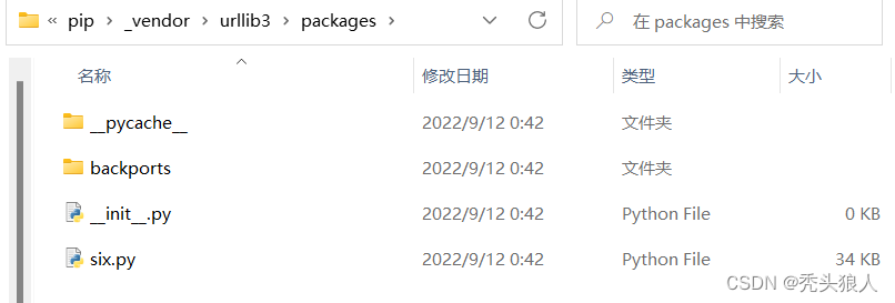 python导入pandas包时报错“ModuleNotFoundError: No module named ‘six‘”的解决办法 ...