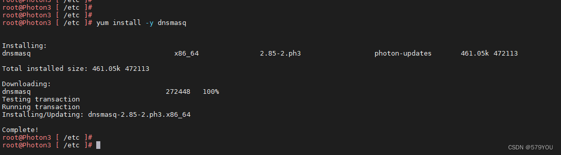 Photon OS3搭建DNS服务器_photon os 修改地址-CSDN博客