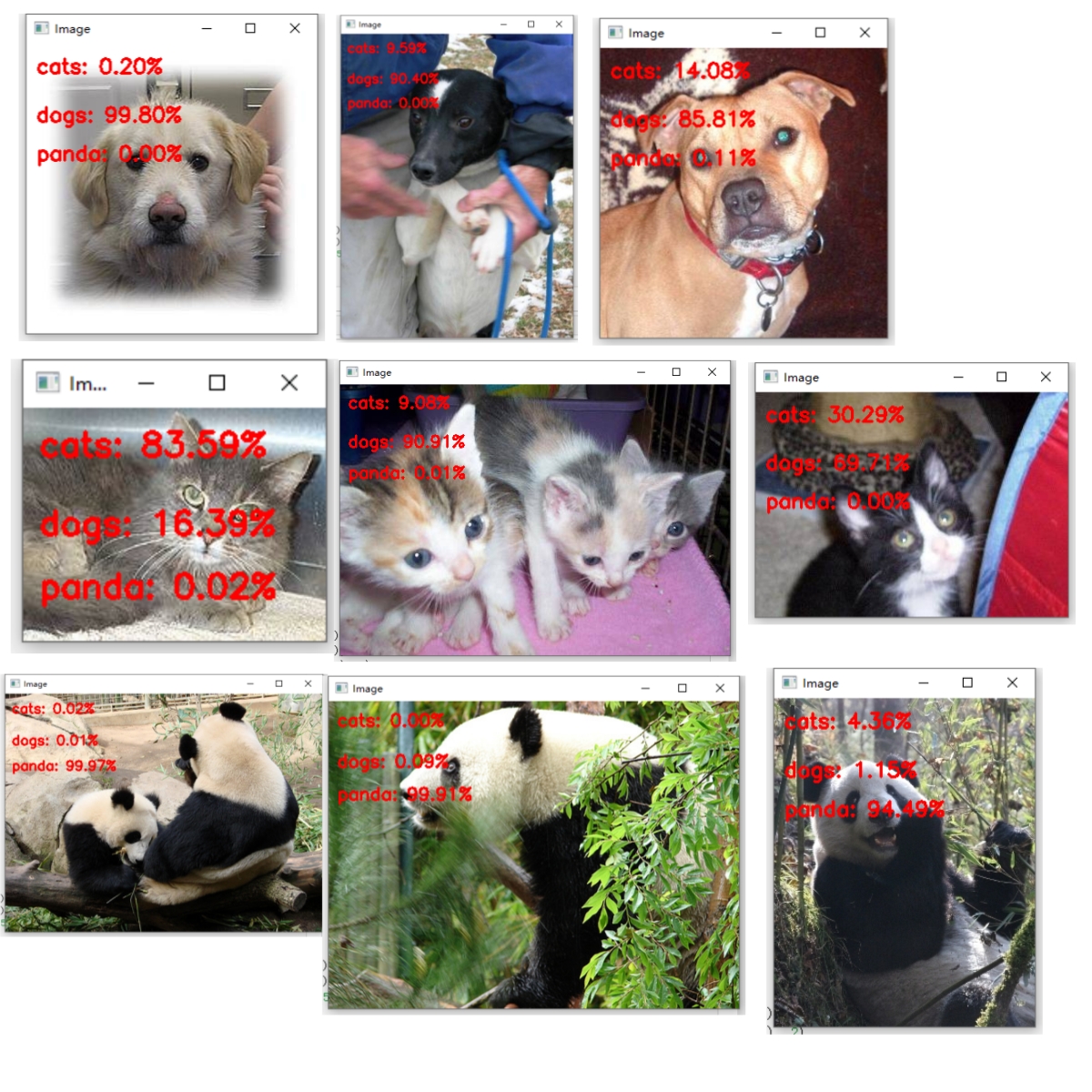 TensorFlow项目练手（二）——猫狗熊猫的分类任务
