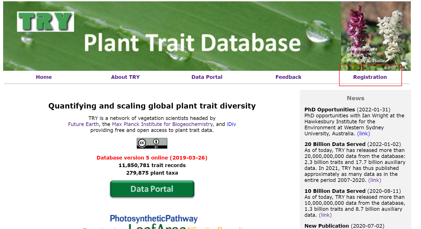 树种特征网站分享_plant Trait Database-CSDN博客