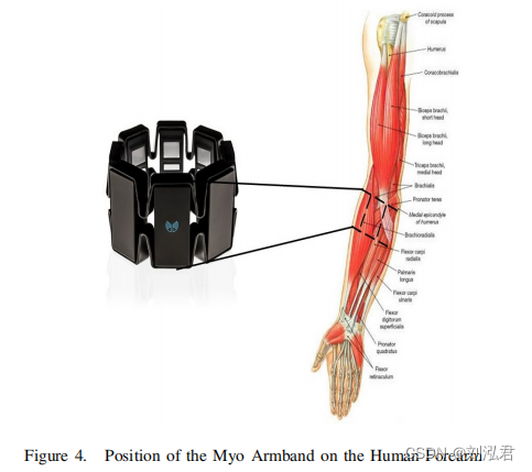 读论文，第八天：Recognition of Human Arm Gestures Using Myo Armband for the Game of Hand Cricket