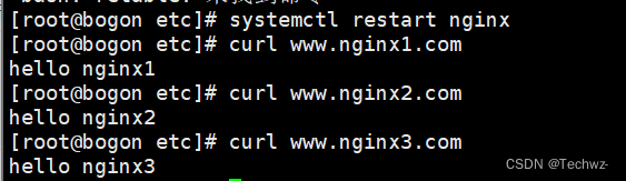nginx三种虚拟主机的配置（IP，端口，域名）