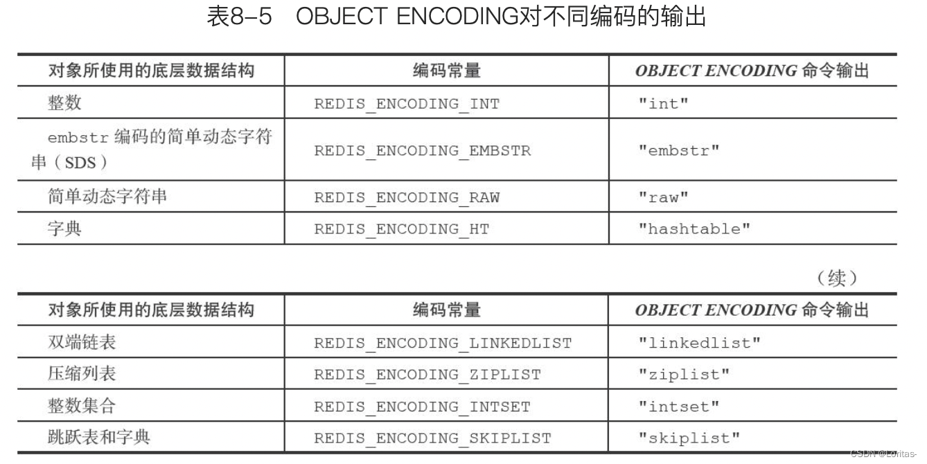 OBJECT ENCODING对不同编码的输出