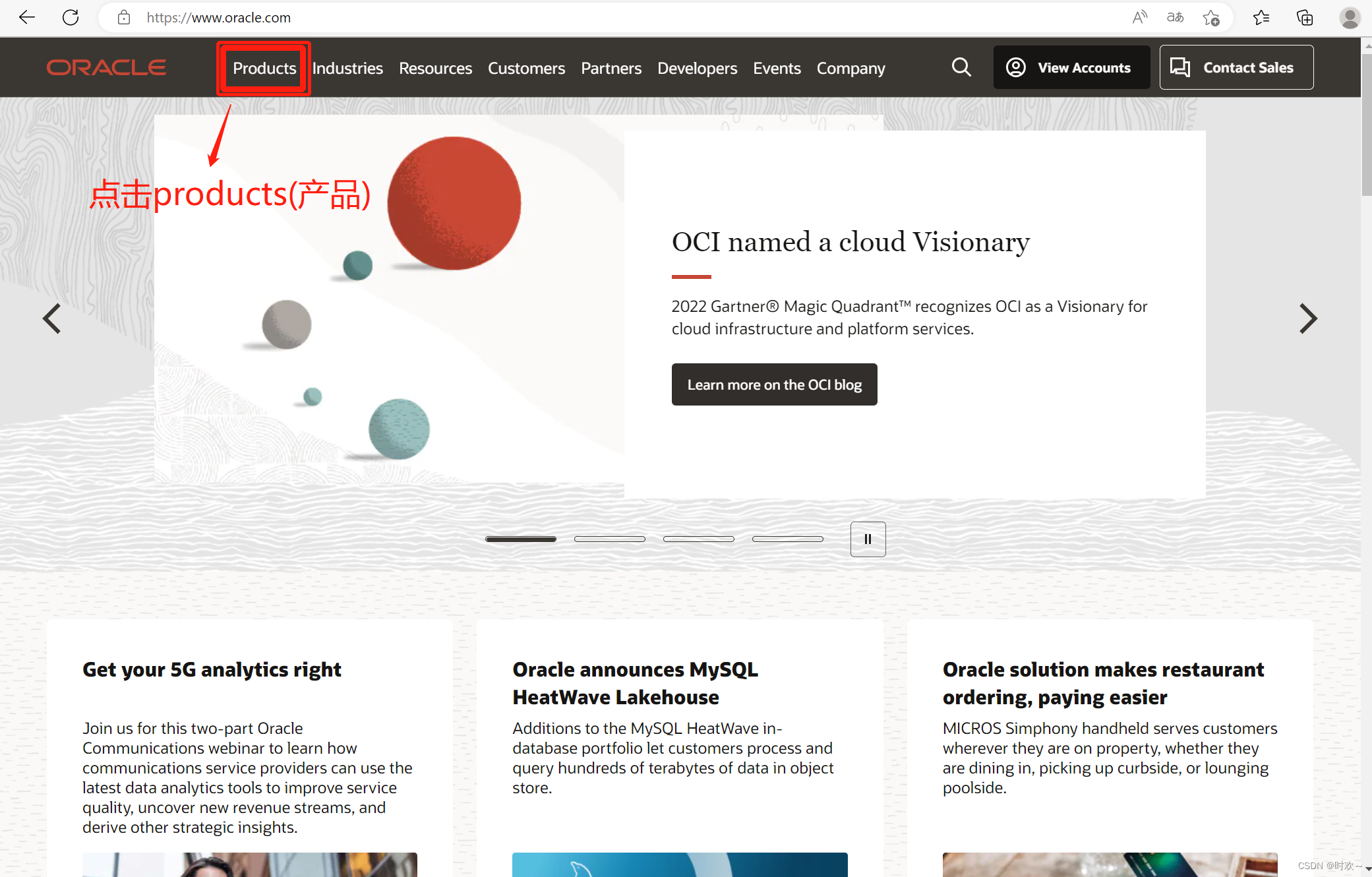 Java的背景知识以及JDK的安装_请说明 java 是哪一年在哪家公司所诞生的, 如果现在要下载 jdk , 到哪个官网进行-CSDN博客