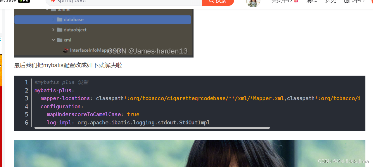 Invalid bound statement (not found)，springboot扫描不到jar包中mapper文件的问题处理