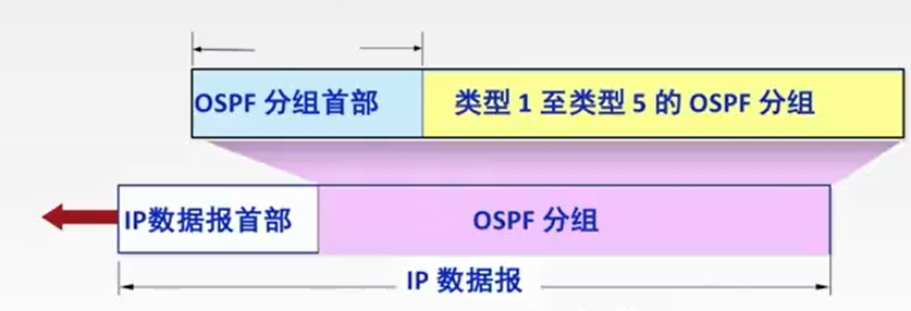 计算机网络：OSPF协议和链路状态算法