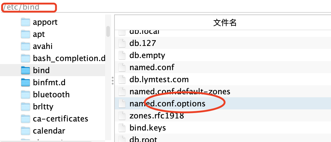 ububtu部署bind-dns 问题