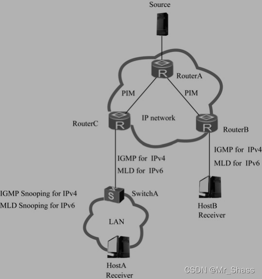 图2-1 典型单PIM 域组播网络示意图