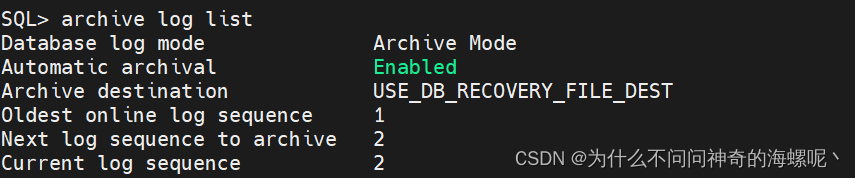 Oracle database 开启归档日志 archivelog