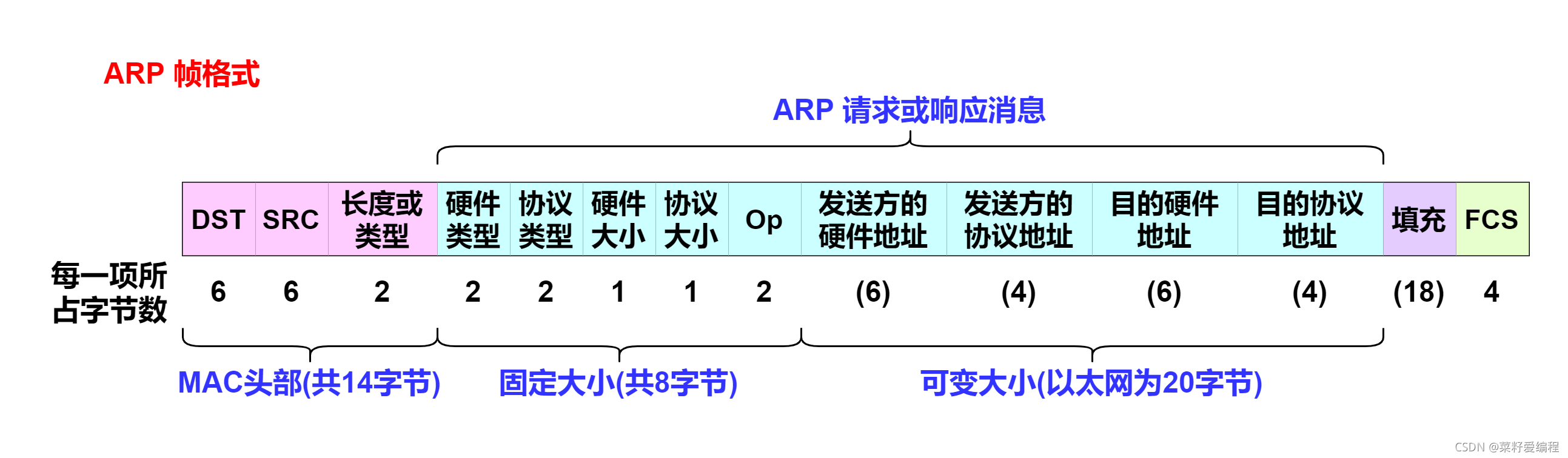 ARP帧格式