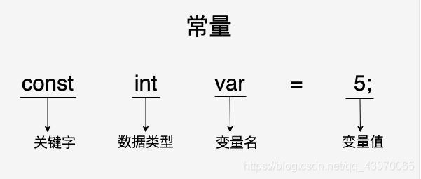 const使用