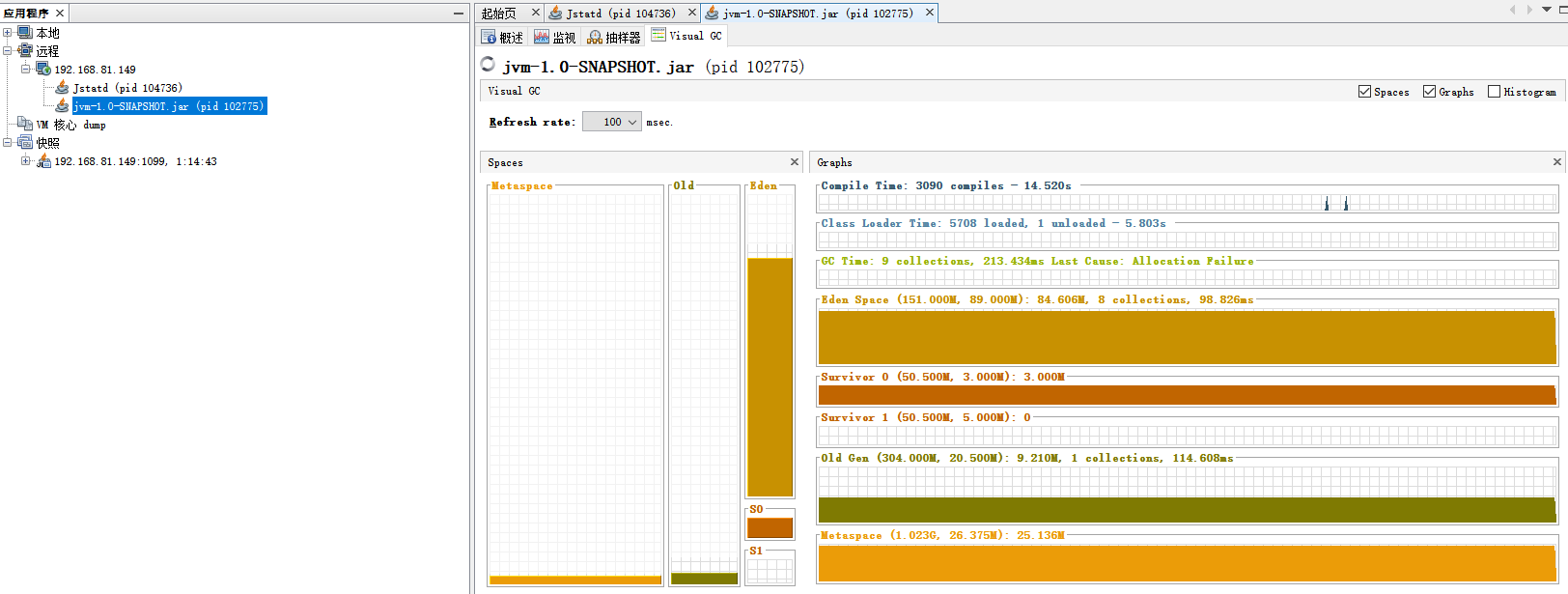 Jvisualvm监控远程SpringBoot项目_nohup java-jar-djava.rmi.server.hostname=10. ...