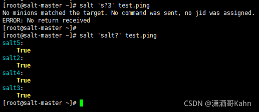 星号*代表匹配一个或多个字符salts*3test.ping2.问号?