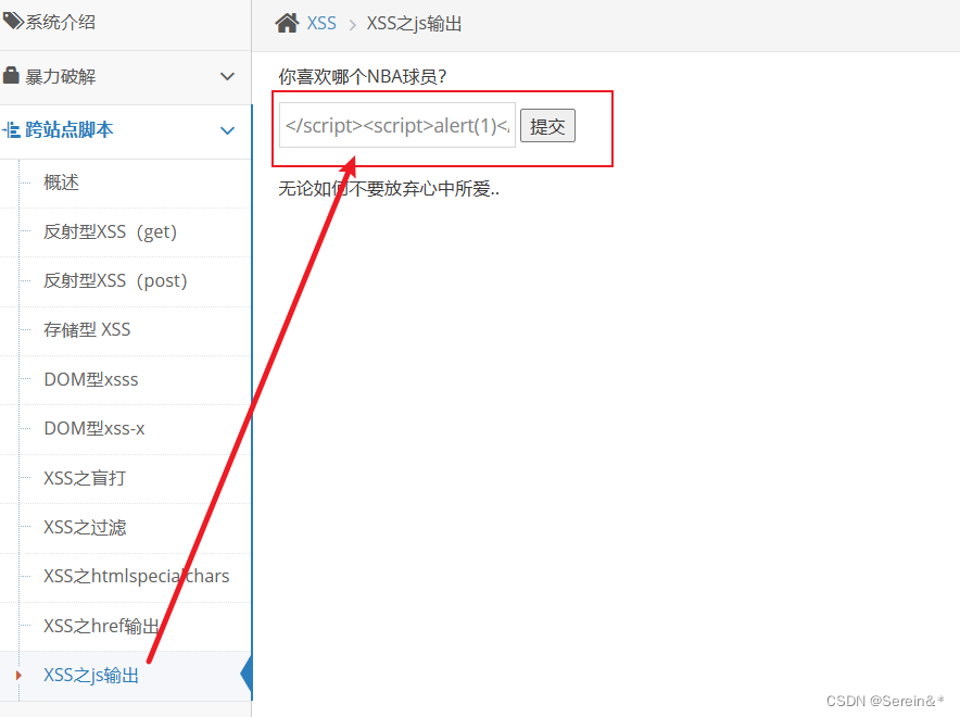 XSS平台偷取cookie使用+XSS漏洞CSDN博客