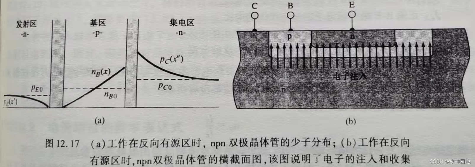 半导体器件基础07：三极管基础（1）