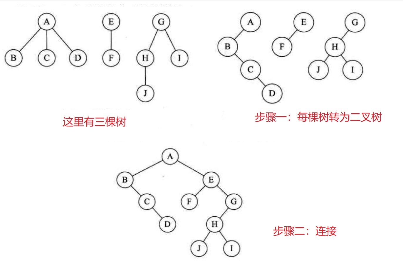 森林转二叉树