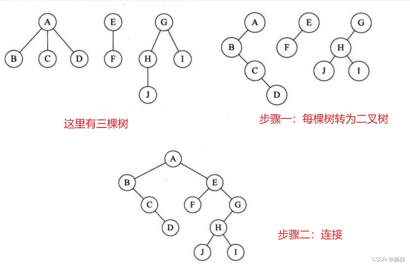 森林转二叉树