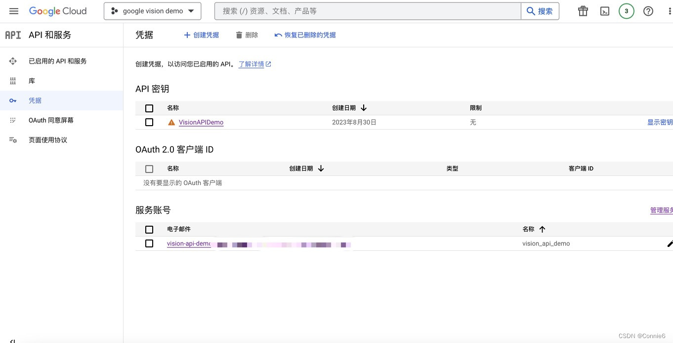 Google Vision API 创建及调用 for mac_google cloud vision api-CSDN博客