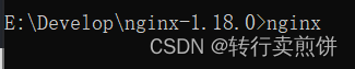 一篇文章搞懂nginx（什么是nginx，nginx反向代理，nginx安装，nginx配置）