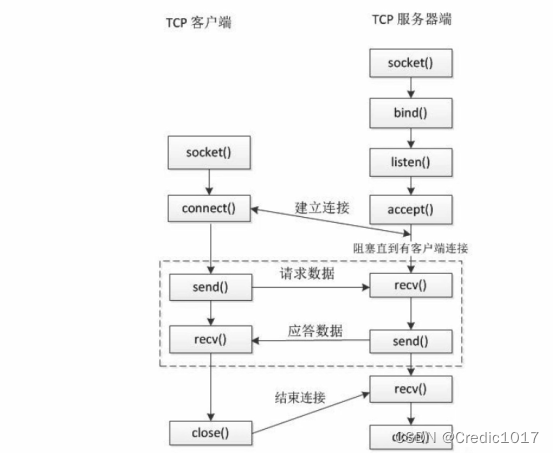 Linux C简单服务器模型解析及完整代码