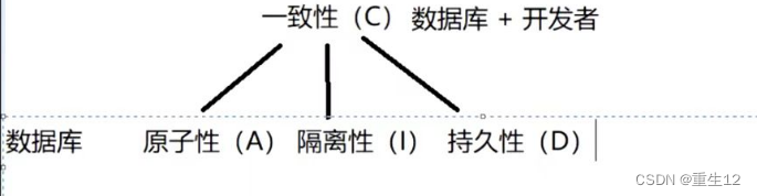 对数据库索引和事务的理解