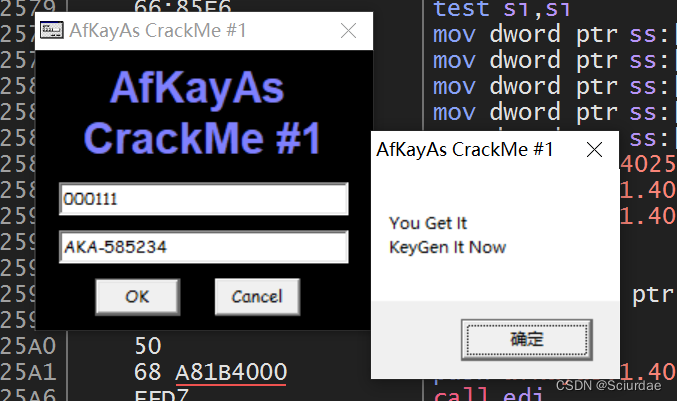 “破解我！“---160个CrackMe练习002-Afkayas.1.Exe