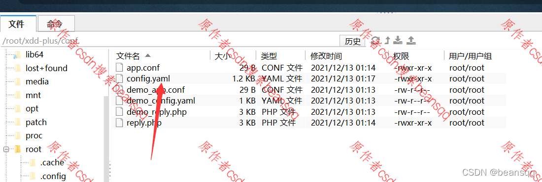 青龙2.10.13 稳定版+xdd-plus+阿东教程保姆教程（2022年7月11日更新）
