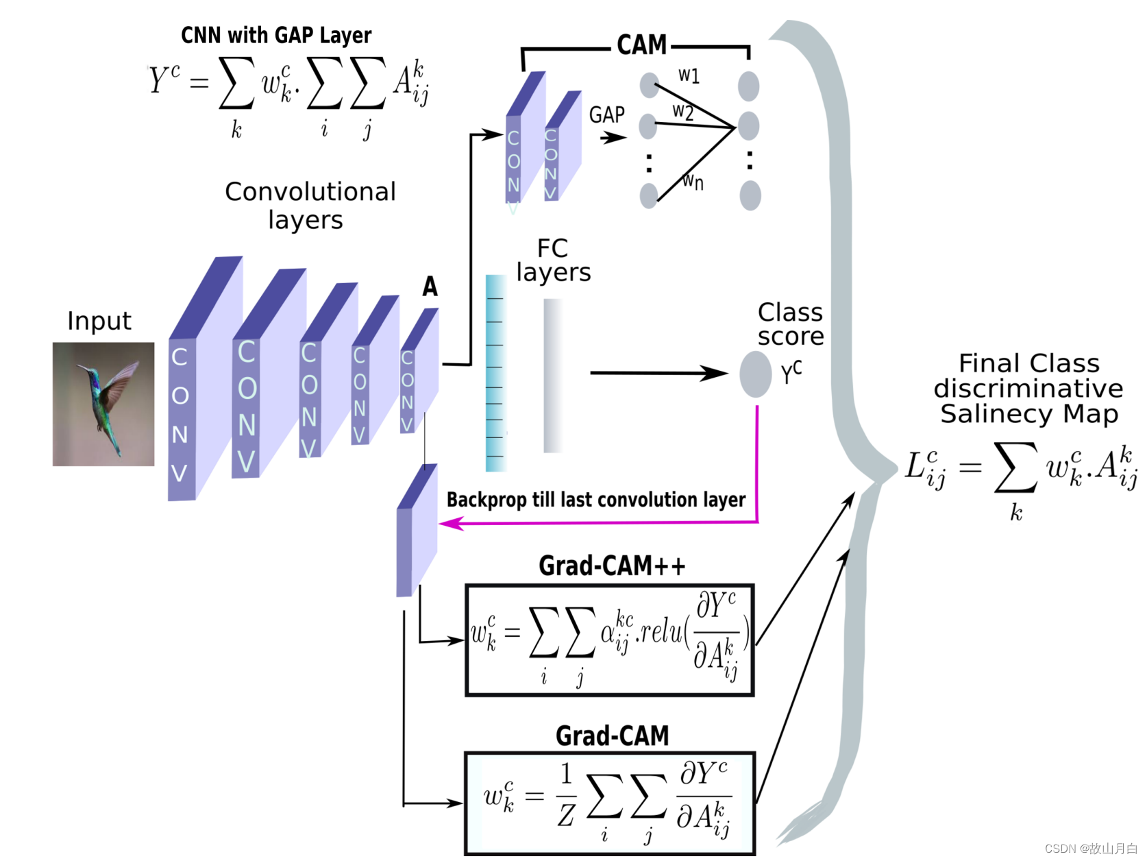 神经网络的解释方法之CAM、Grad-CAM、Grad-CAM++、LayerCAM