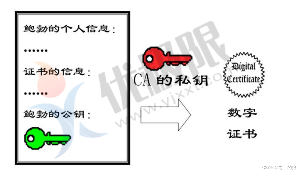 Linux的网络信息详解