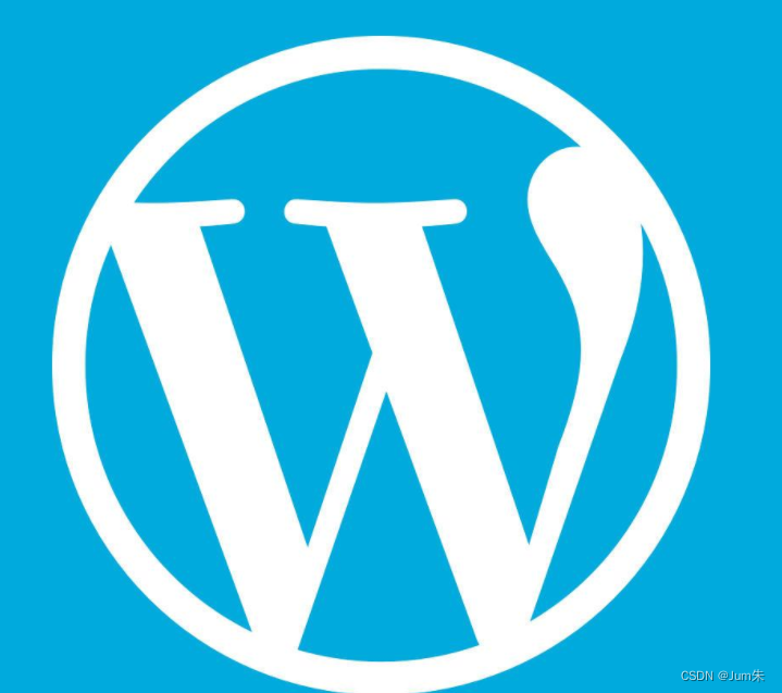 玩转代码|WordPress后台加载缓慢，加载无样式解决方法_nginx worpress 不加载样式-CSDN博客
