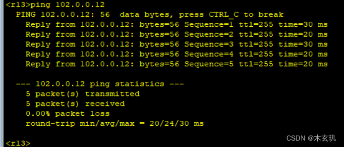OSPF*MGRE实验：