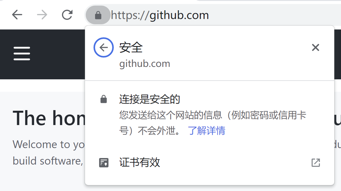 在浏览器中点击地址栏前的锁状图标, 可以看到 github.com 的访问连接是安全的