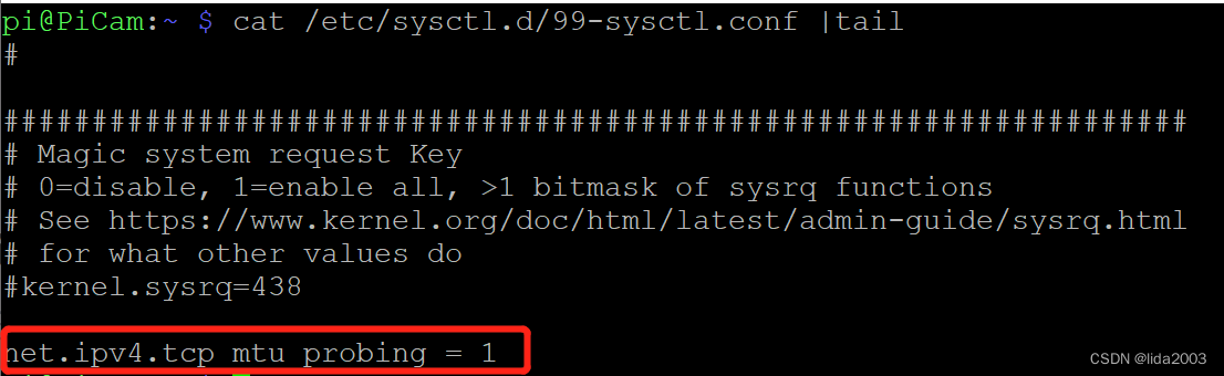 SSH远程登录RaspberryPi命令行响应缓慢问题