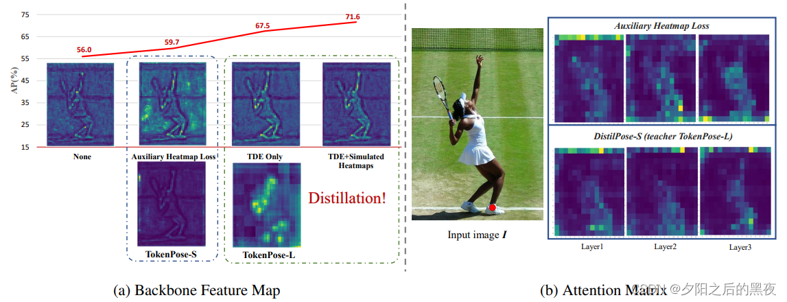 DistilPose: Tokenized Pose Regression with Heatmap Distillation